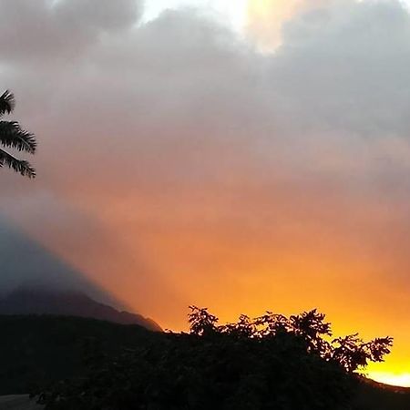 Paradise Palms B & B Kailua Εξωτερικό φωτογραφία