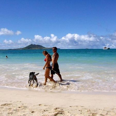 Paradise Palms B & B Kailua Εξωτερικό φωτογραφία