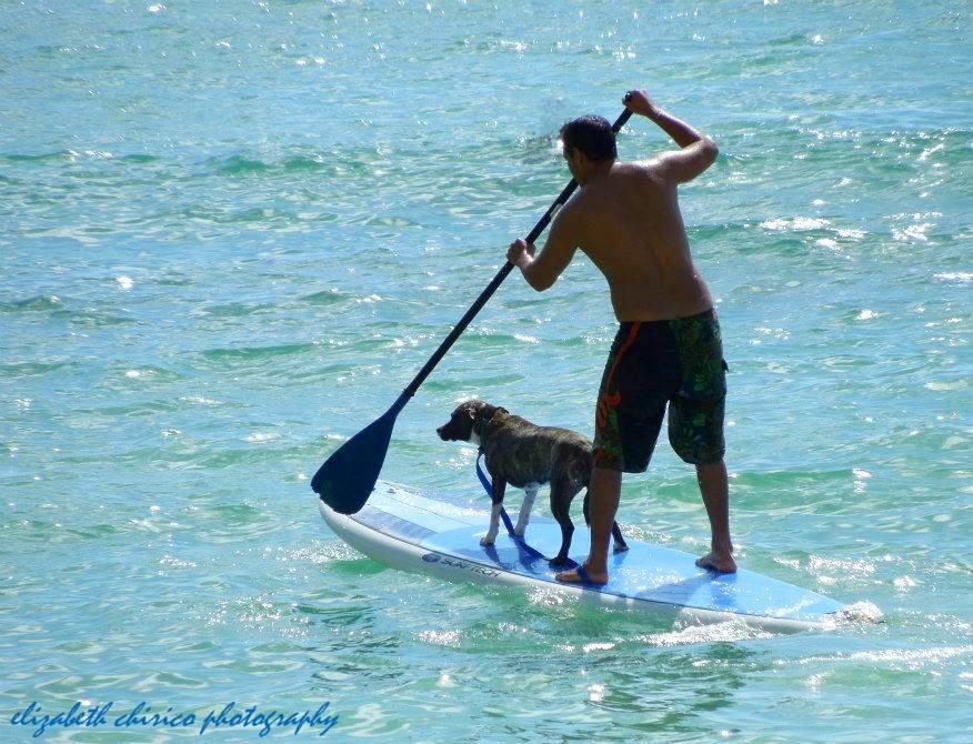 Paradise Palms B & B Kailua Εξωτερικό φωτογραφία