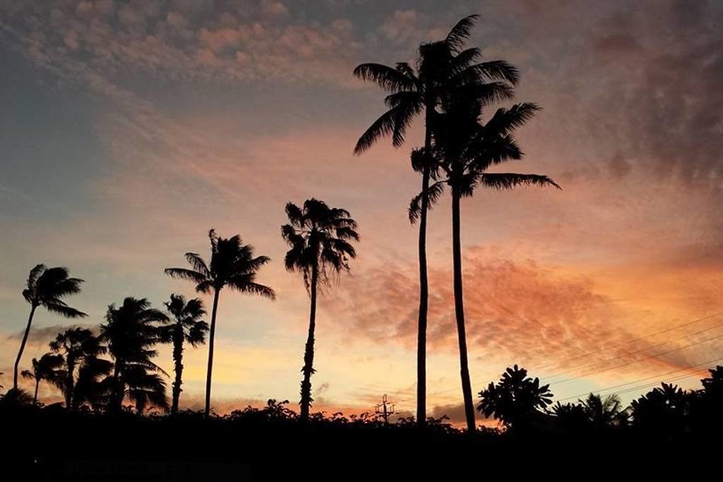 Paradise Palms B & B Kailua Εξωτερικό φωτογραφία