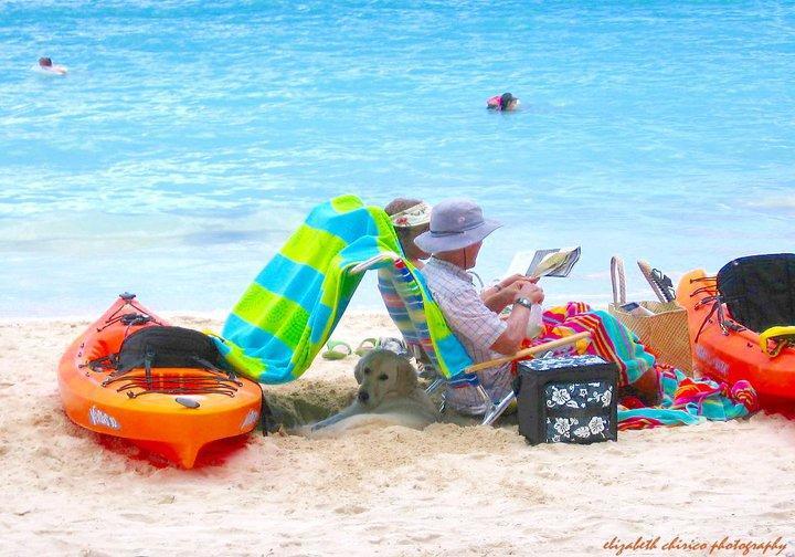 Paradise Palms B & B Kailua Εξωτερικό φωτογραφία