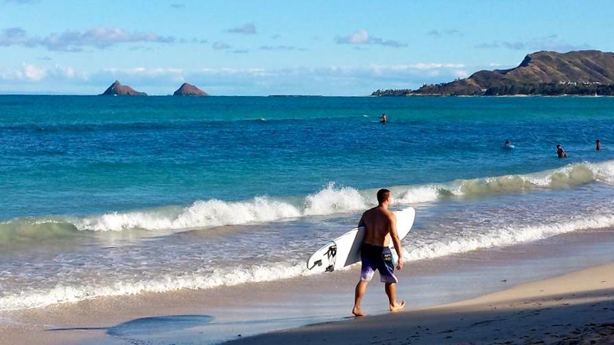 Paradise Palms B & B Kailua Εξωτερικό φωτογραφία